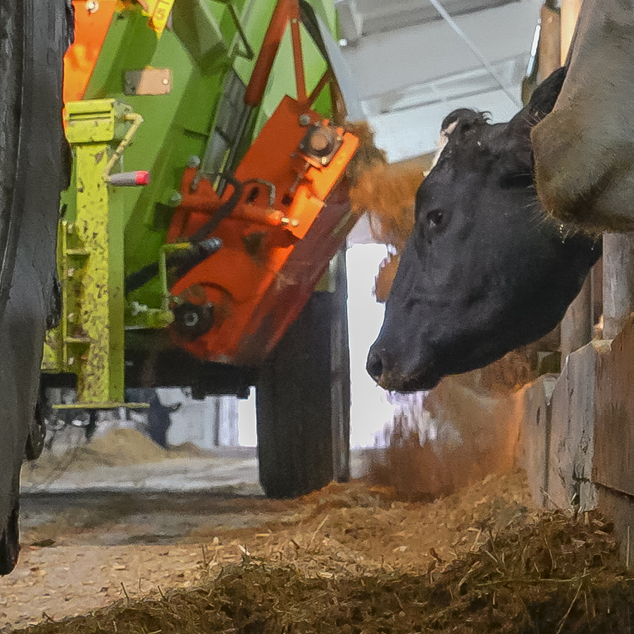 МИРК-130 на ферме МИРК-130 на ферме